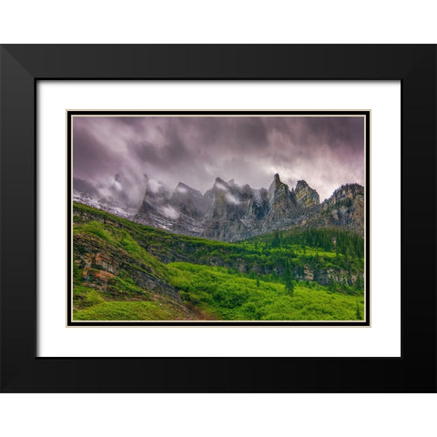 A Majestic Presence Black Modern Wood Framed Art Print with Double Matting by Sherrell, Bill