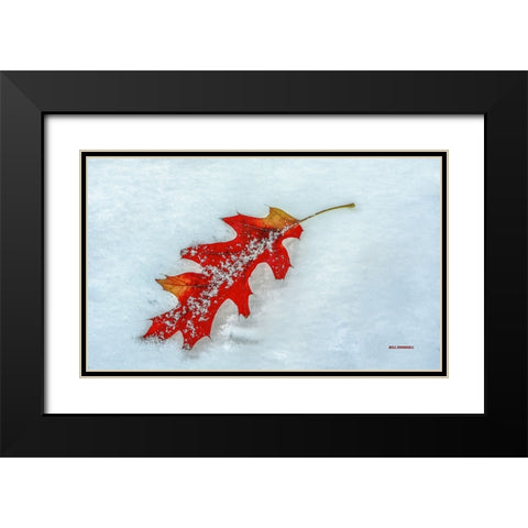 A Moment Together Black Modern Wood Framed Art Print with Double Matting by Sherrell, Bill