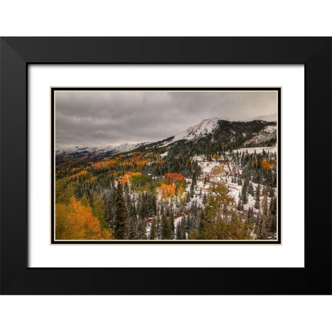 A Splash Of Color Black Modern Wood Framed Art Print with Double Matting by Sherrell, Bill