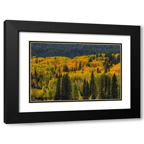 Autumn Flames Black Modern Wood Framed Art Print with Double Matting by Sherrell, Bill