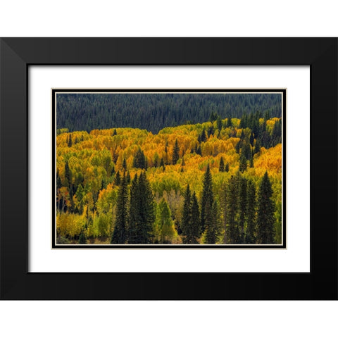 Autumn Flames Black Modern Wood Framed Art Print with Double Matting by Sherrell, Bill