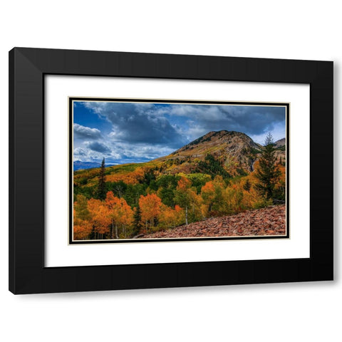 Autumn Foothill Black Modern Wood Framed Art Print with Double Matting by Sherrell, Bill