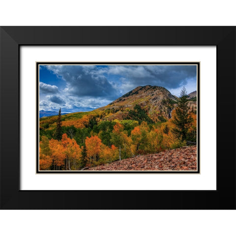 Autumn Foothill Black Modern Wood Framed Art Print with Double Matting by Sherrell, Bill
