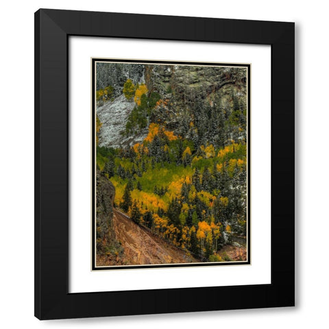 Autumn Grace Black Modern Wood Framed Art Print with Double Matting by Sherrell, Bill
