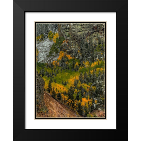 Autumn Grace Black Modern Wood Framed Art Print with Double Matting by Sherrell, Bill