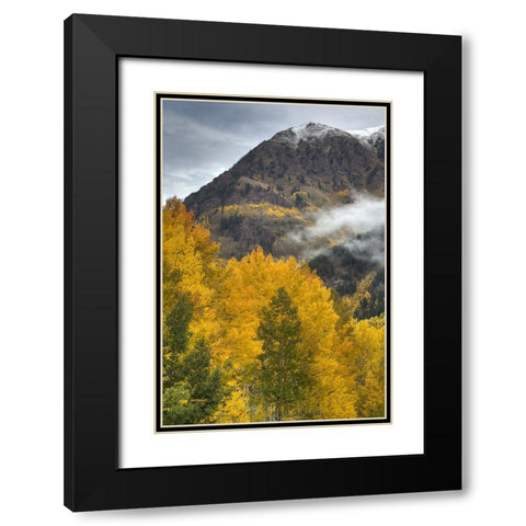 Autumn Moods Black Modern Wood Framed Art Print with Double Matting by Sherrell, Bill