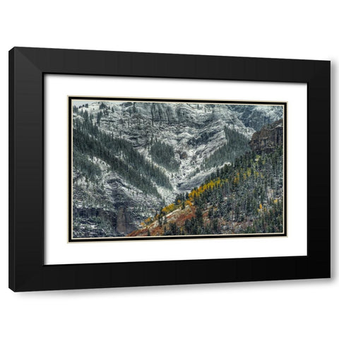 Autumn Slice And Majestic Delineation Black Modern Wood Framed Art Print with Double Matting by Sherrell, Bill