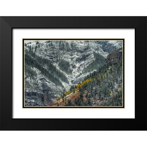 Autumn Slice And Majestic Delineation Black Modern Wood Framed Art Print with Double Matting by Sherrell, Bill
