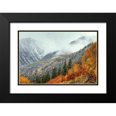 Autumn Storm Black Modern Wood Framed Art Print with Double Matting by Sherrell, Bill