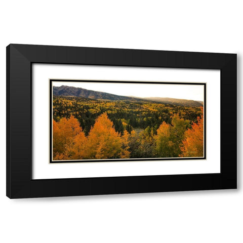 Autumn Sunrise Black Modern Wood Framed Art Print with Double Matting by Sherrell, Bill