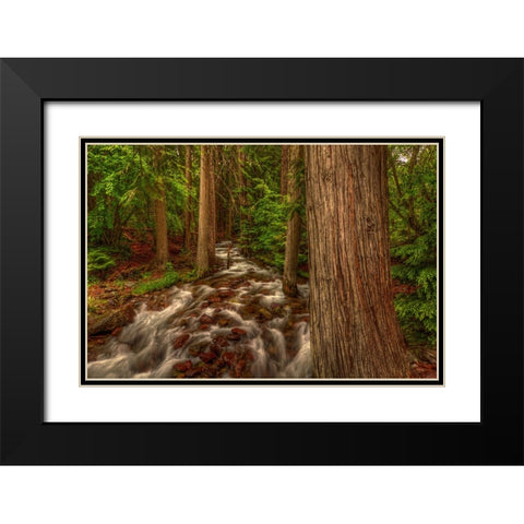 Brook Black Modern Wood Framed Art Print with Double Matting by Sherrell, Bill