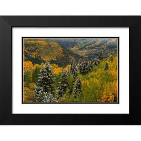 Christmas Tree Autumn Black Modern Wood Framed Art Print with Double Matting by Sherrell, Bill