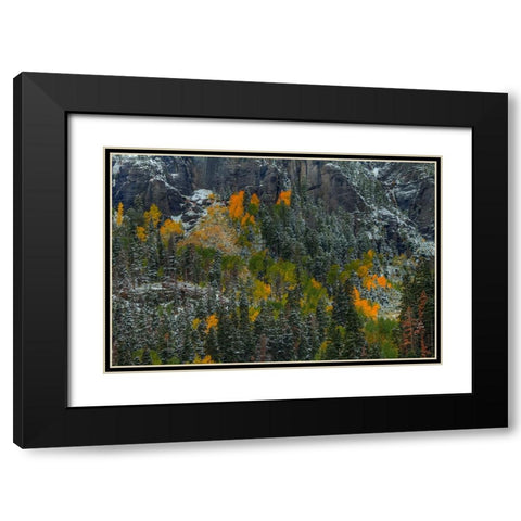Color Splash Black Modern Wood Framed Art Print with Double Matting by Sherrell, Bill