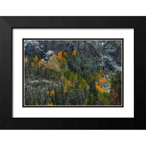 Color Splash Black Modern Wood Framed Art Print with Double Matting by Sherrell, Bill