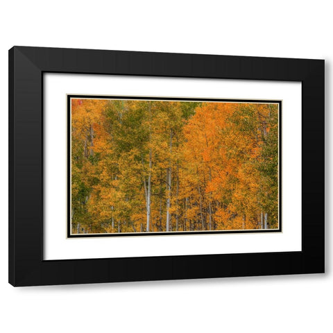 Color Transformation Black Modern Wood Framed Art Print with Double Matting by Sherrell, Bill
