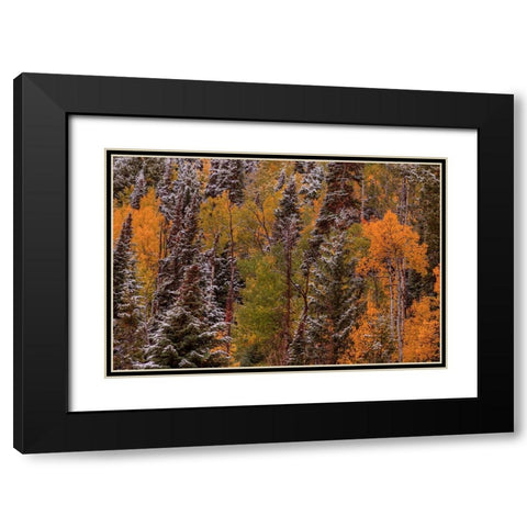 Contrasts Black Modern Wood Framed Art Print with Double Matting by Sherrell, Bill
