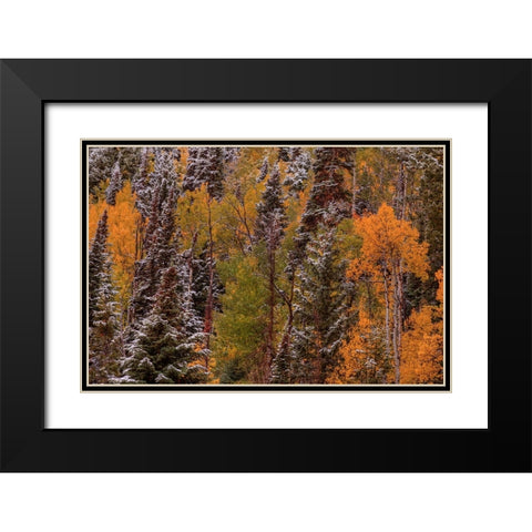 Contrasts Black Modern Wood Framed Art Print with Double Matting by Sherrell, Bill