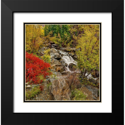 Fall River Black Modern Wood Framed Art Print with Double Matting by Sherrell, Bill