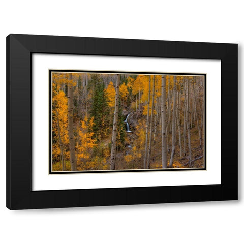 Falling Treasure Black Modern Wood Framed Art Print with Double Matting by Sherrell, Bill