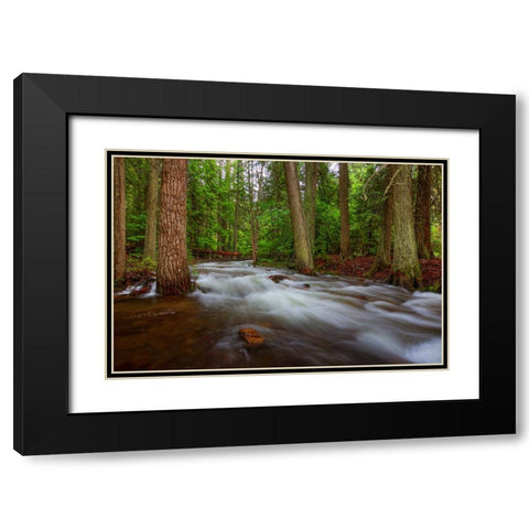 Flow Black Modern Wood Framed Art Print with Double Matting by Sherrell, Bill