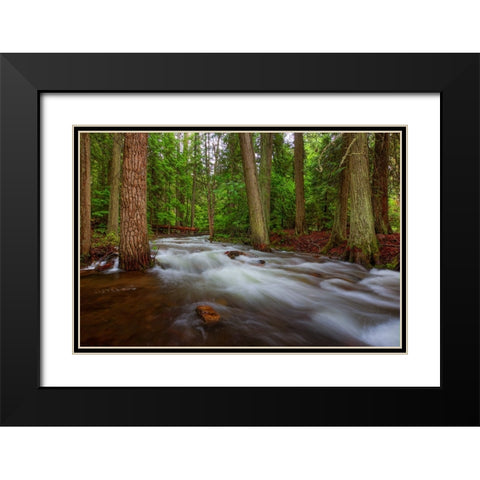 Flow Black Modern Wood Framed Art Print with Double Matting by Sherrell, Bill