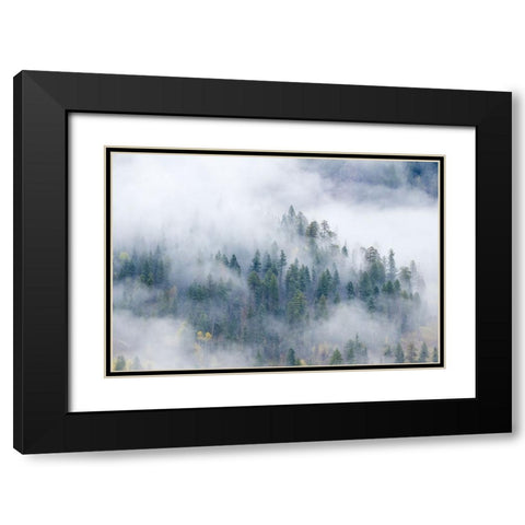 Forest In The Clouds Black Modern Wood Framed Art Print with Double Matting by Sherrell, Bill