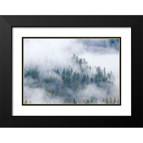 Forest In The Clouds Black Modern Wood Framed Art Print with Double Matting by Sherrell, Bill
