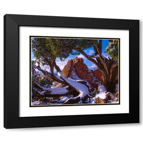 Framed By Nature Black Modern Wood Framed Art Print with Double Matting by Sherrell, Bill