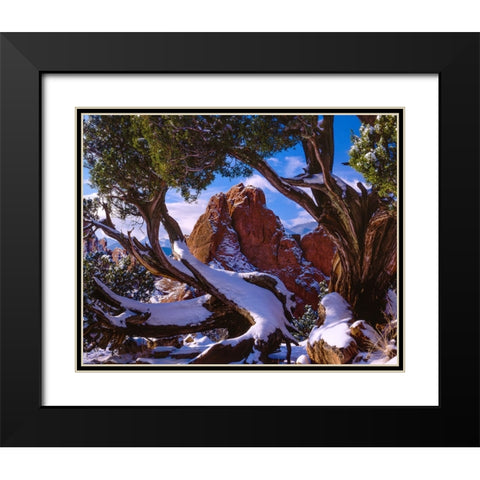 Framed By Nature Black Modern Wood Framed Art Print with Double Matting by Sherrell, Bill