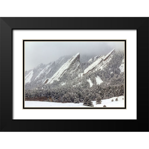 Frozen Rapture Black Modern Wood Framed Art Print with Double Matting by Sherrell, Bill