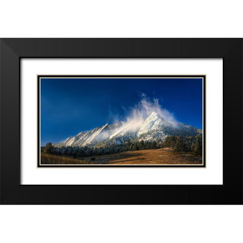 Frozen Whimsy Black Modern Wood Framed Art Print with Double Matting by Sherrell, Bill