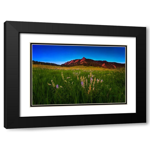 Glowing Flatirons And Wildflowers Black Modern Wood Framed Art Print with Double Matting by Sherrell, Bill