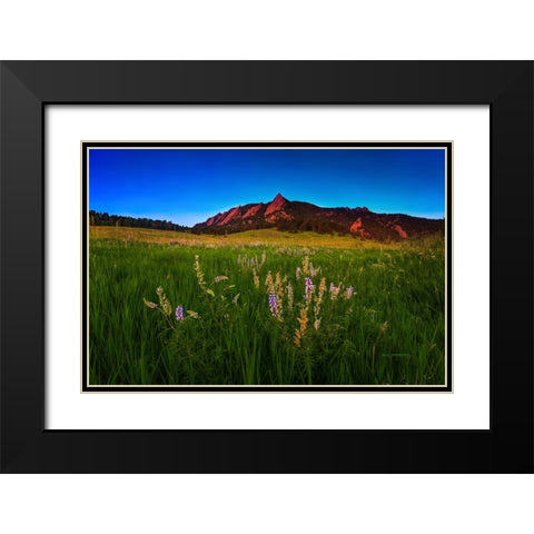 Glowing Flatirons And Wildflowers Black Modern Wood Framed Art Print with Double Matting by Sherrell, Bill