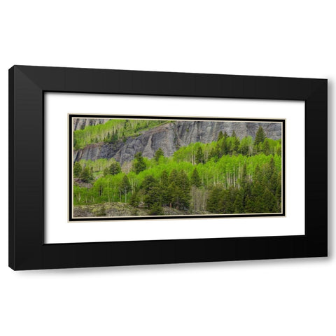 Green Dream Black Modern Wood Framed Art Print with Double Matting by Sherrell, Bill