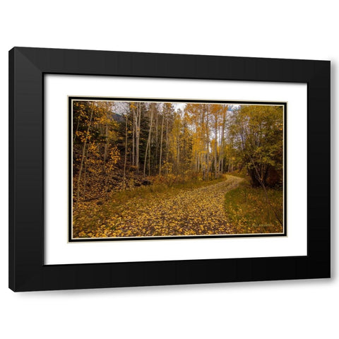 Last Chance Romance Black Modern Wood Framed Art Print with Double Matting by Sherrell, Bill