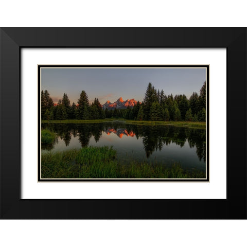 Morning Glory Black Modern Wood Framed Art Print with Double Matting by Sherrell, Bill