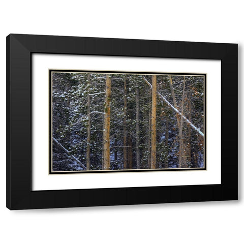 Outlines Black Modern Wood Framed Art Print with Double Matting by Sherrell, Bill