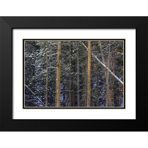 Outlines Black Modern Wood Framed Art Print with Double Matting by Sherrell, Bill