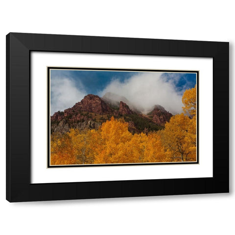 Ruggedness Unveiled Black Modern Wood Framed Art Print with Double Matting by Sherrell, Bill