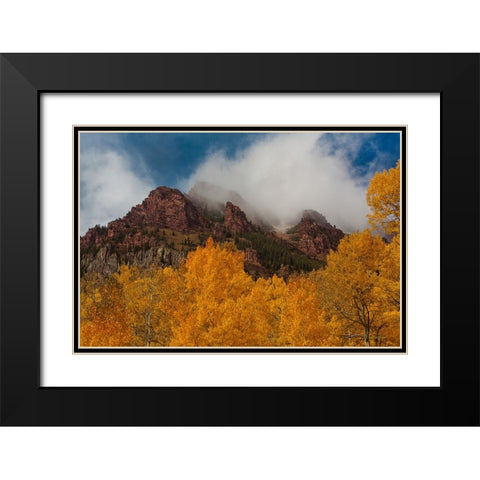 Ruggedness Unveiled Black Modern Wood Framed Art Print with Double Matting by Sherrell, Bill