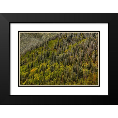 Snowspires Black Modern Wood Framed Art Print with Double Matting by Sherrell, Bill