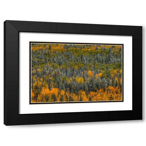 Surrealism Black Modern Wood Framed Art Print with Double Matting by Sherrell, Bill