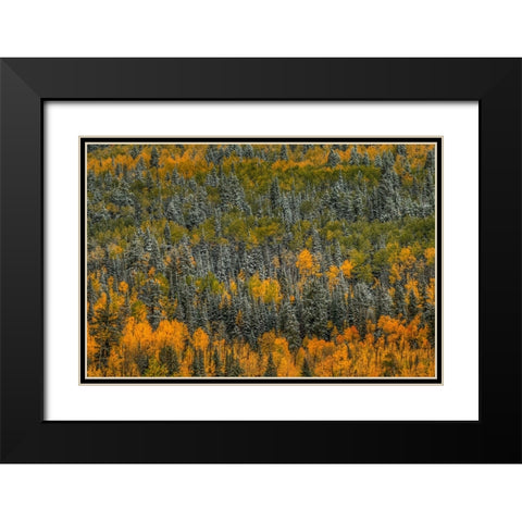 Surrealism Black Modern Wood Framed Art Print with Double Matting by Sherrell, Bill