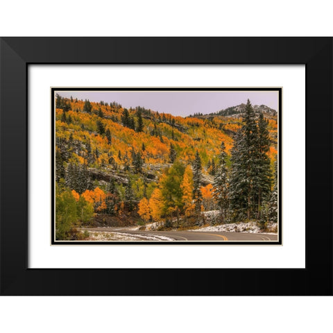 Switchback Autumn Black Modern Wood Framed Art Print with Double Matting by Sherrell, Bill