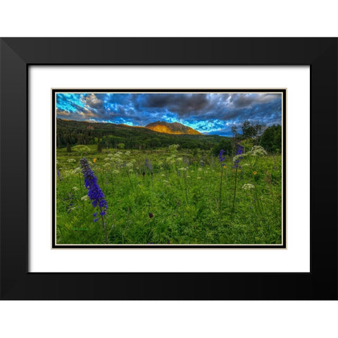 The Dawning Of Majesty Black Modern Wood Framed Art Print with Double Matting by Sherrell, Bill
