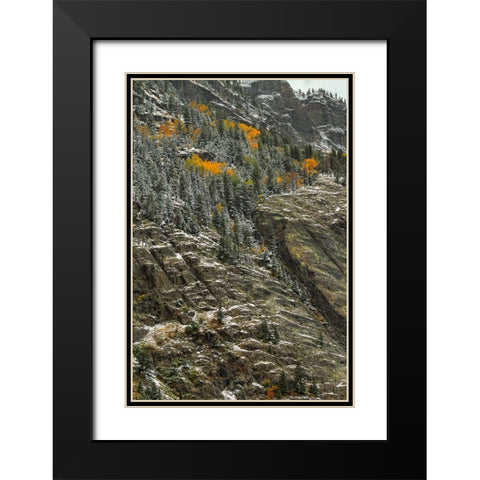 White Lace And Autumn Slivers Black Modern Wood Framed Art Print with Double Matting by Sherrell, Bill
