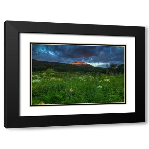 Wildflowers And Mountain Majesty Black Modern Wood Framed Art Print with Double Matting by Sherrell, Bill