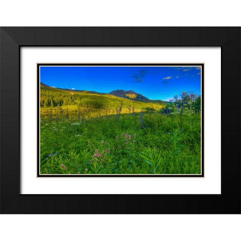 Wildflowers And Windows Of Light Black Modern Wood Framed Art Print with Double Matting by Sherrell, Bill