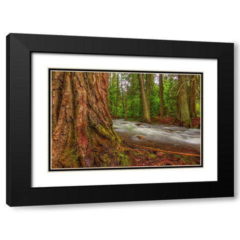 Woodsy Black Modern Wood Framed Art Print with Double Matting by Sherrell, Bill