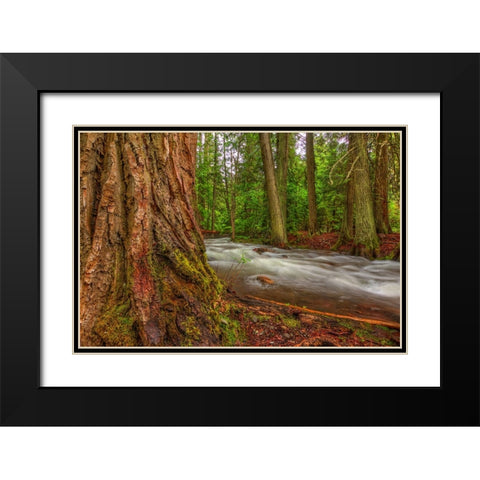Woodsy Black Modern Wood Framed Art Print with Double Matting by Sherrell, Bill